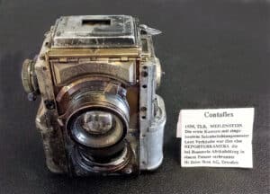 contaflex afrika schild wolf