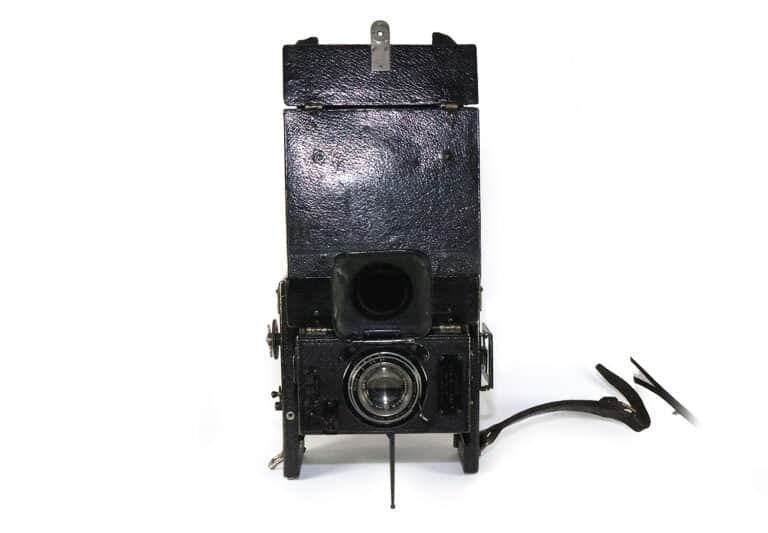 ensign fold reflex d frontal