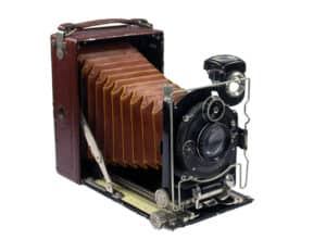 JSE Edelweiss (Certo)