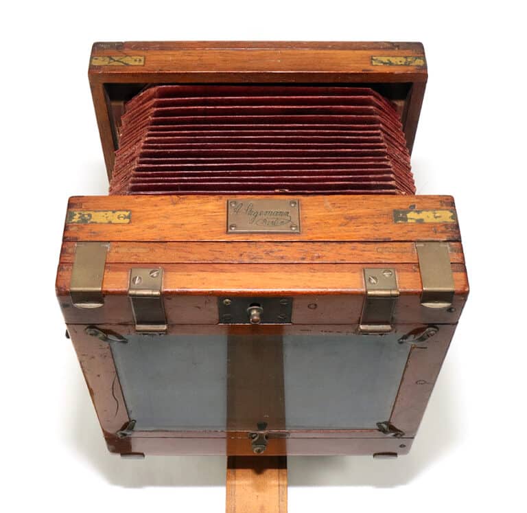 stegemann hinten oben