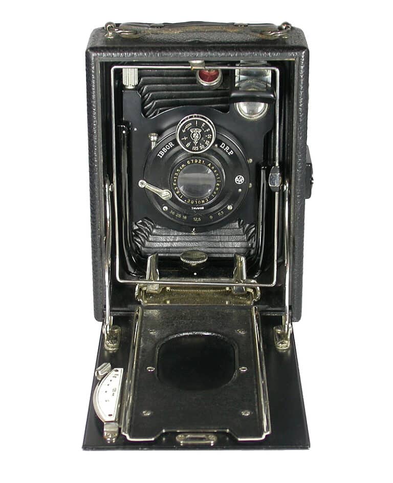 platte ibsor vorne ein