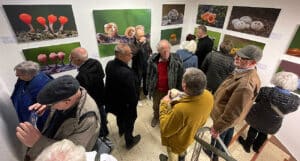 schweizer vernissage