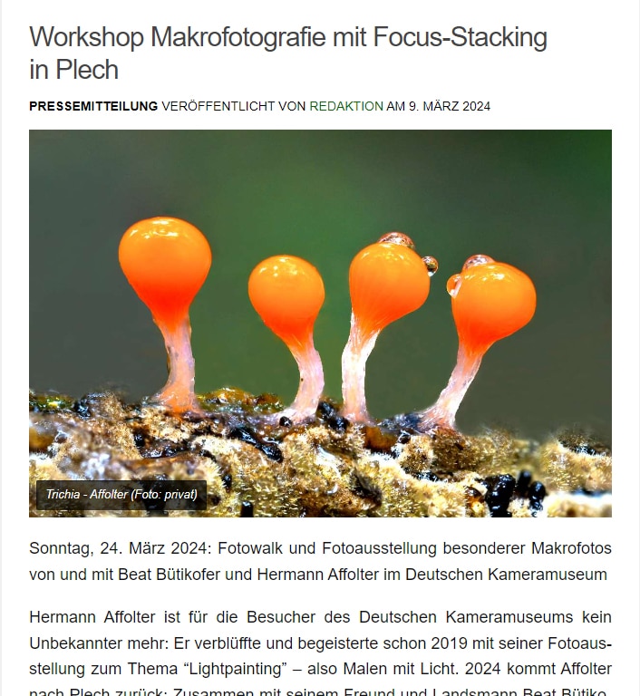 wiesentbote workshop focus