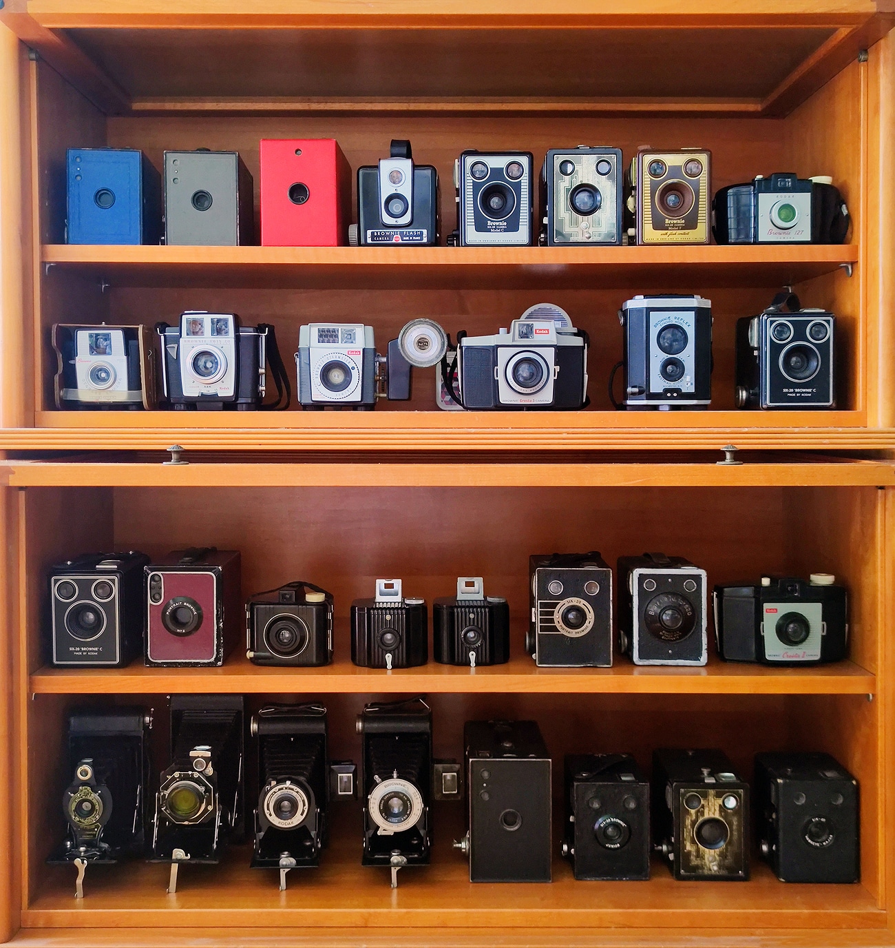 törzs brownie boxen