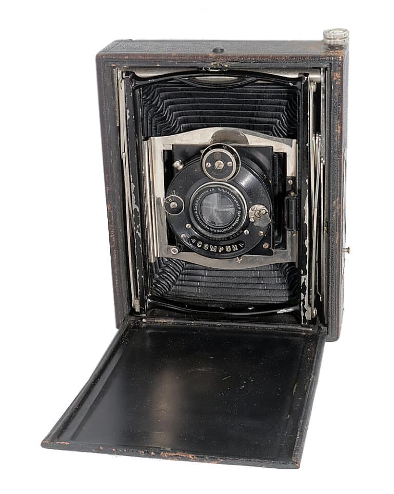 nettel sonnar schwarz hoch