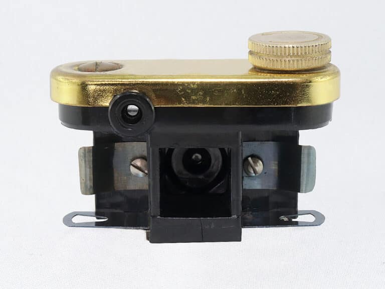 petie grau weiß rück