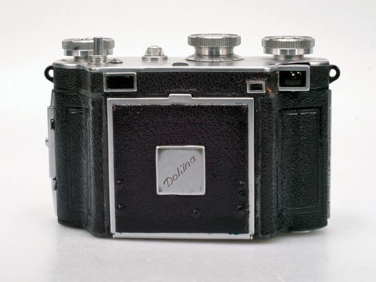 100591 certo dollina tg (2)