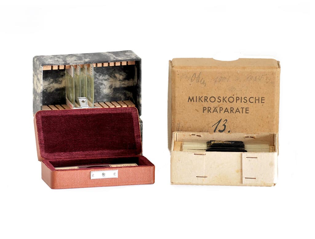 Mikroskopische Präparate